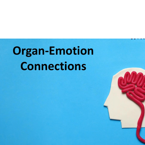 Emotion Organ Connections