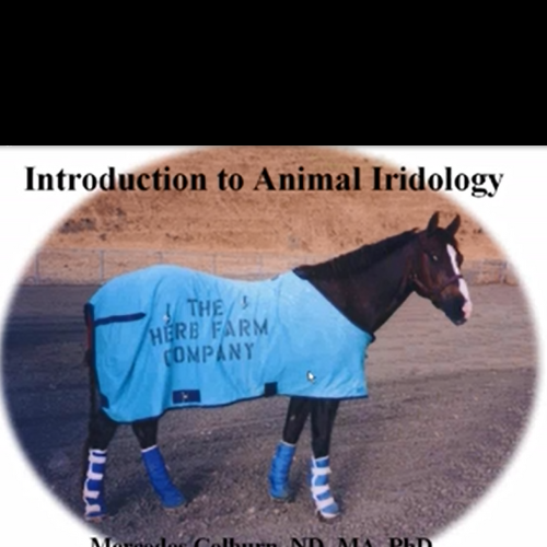 Introduction to Animal Iridology