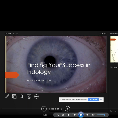 Finding Your Success in Iridology