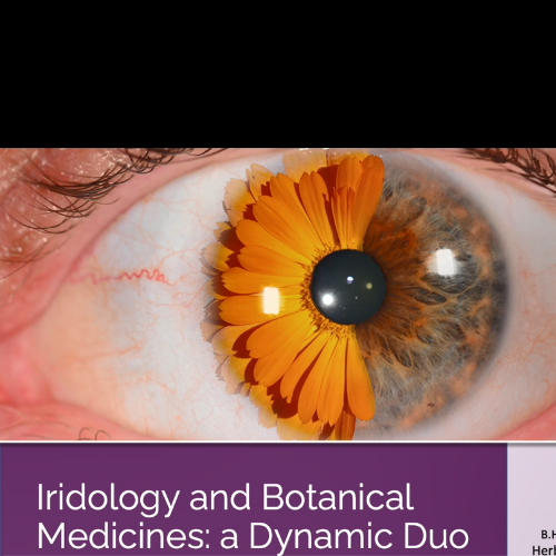 Iridology and Botanical Medicines_ A Dynamic Duo