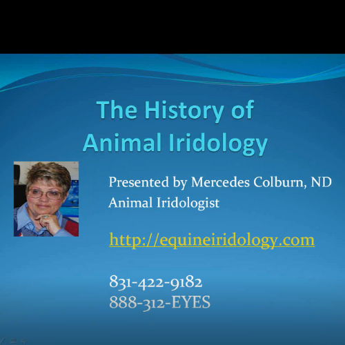 The History Of Animal Iridology