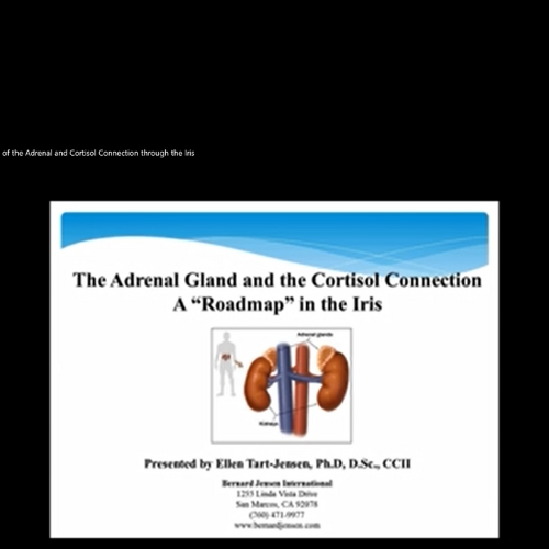 Determining the Function of the Adrenal and Cortisol Connection through the Iris