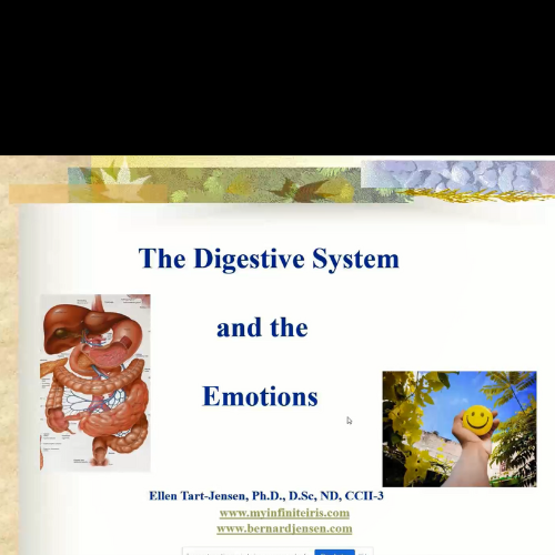 The Digestive System and the Emotions