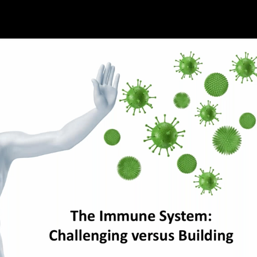 Challenging vs. Strengthening the Immune System