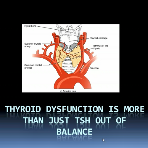 Endocrine Cascade of the Thyroid