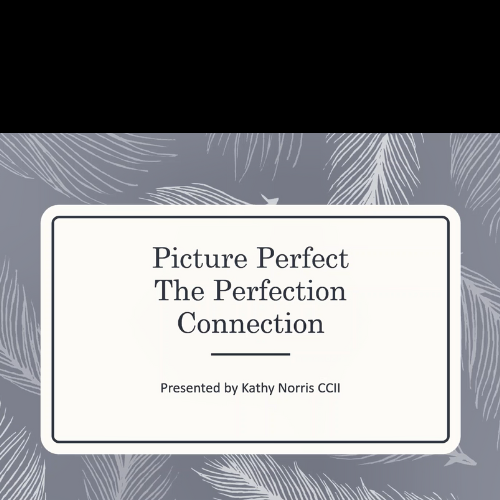 Picture Perfect, The Perfection Connection